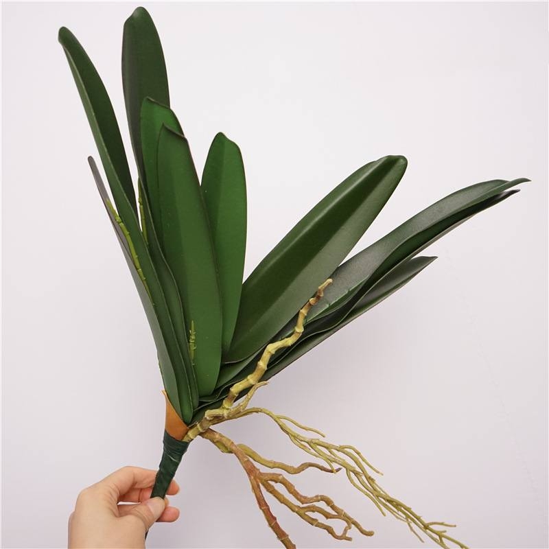 Eleven artificial Vanda orchid leaves
