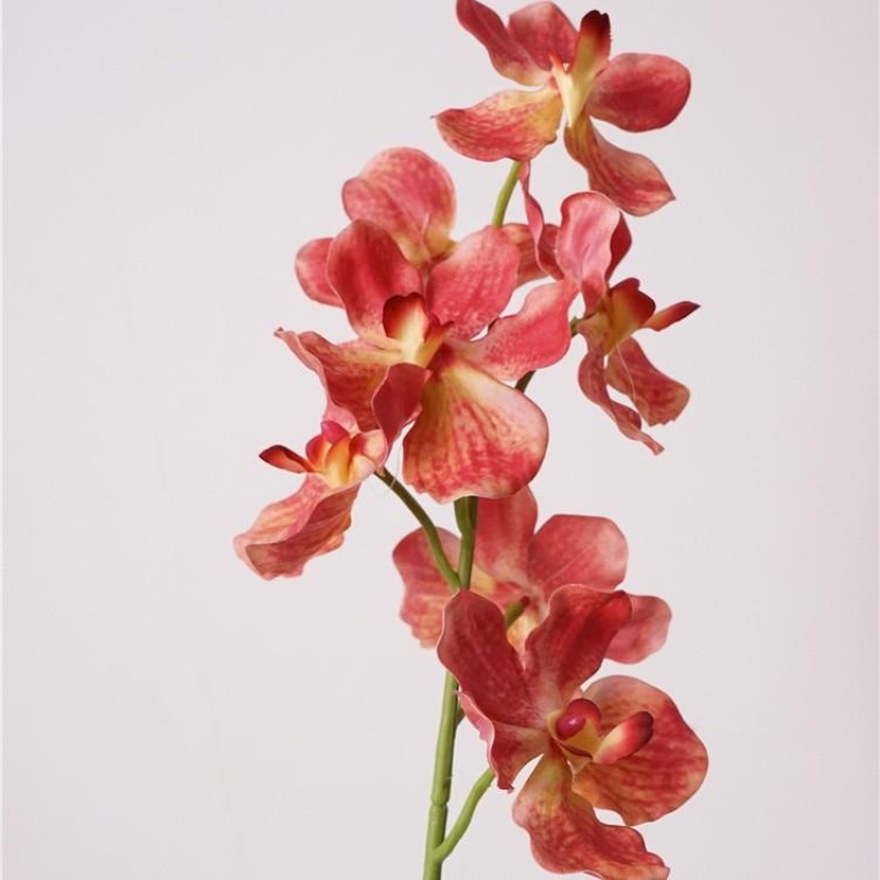 Moisturizing Fake Vanda Orchid
