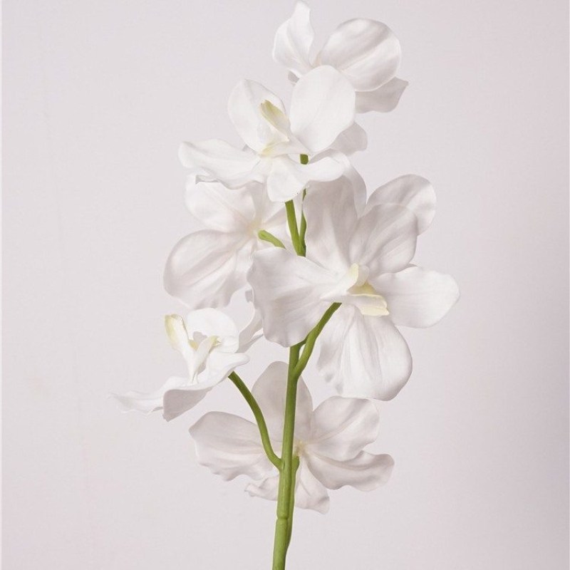 Moisturizing Fake Vanda Orchid