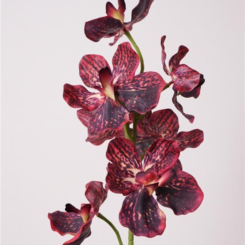 Moisturizing Fake Vanda Orchid