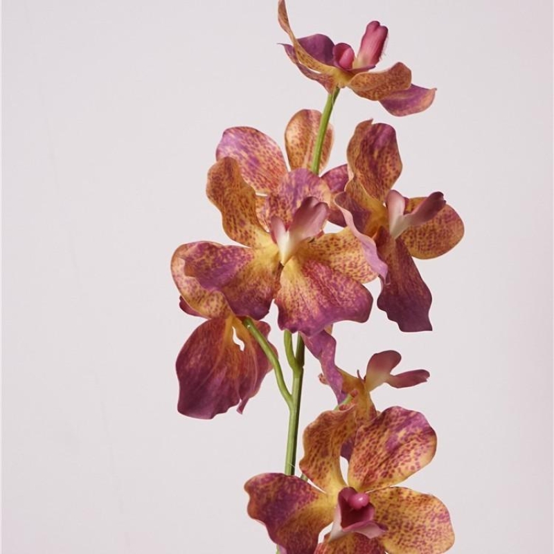 Moisturizing Fake Vanda Orchid