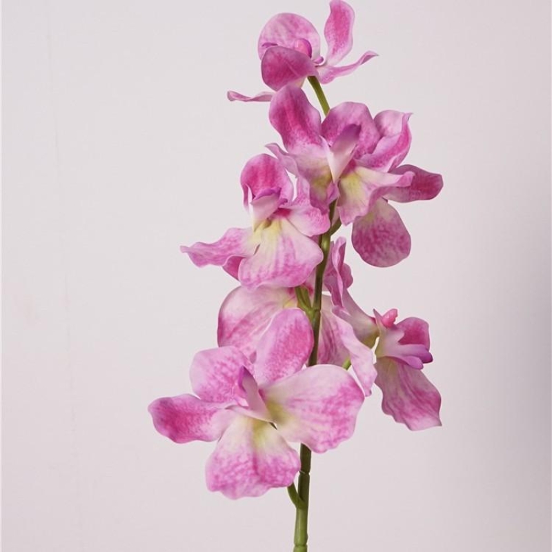 Moisturizing Fake Vanda Orchid