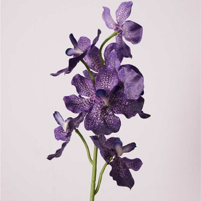 Moisturizing Fake Vanda Orchid