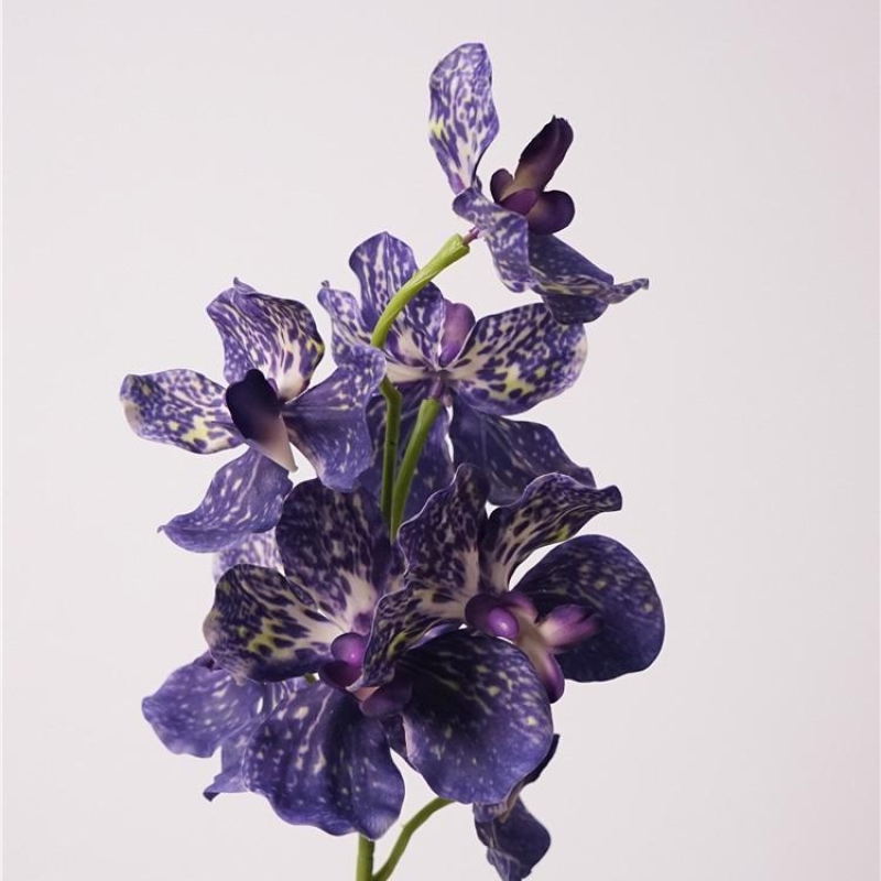 Moisturizing Fake Vanda Orchid