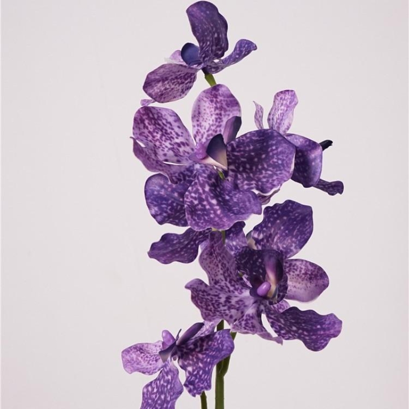Moisturizing Fake Vanda Orchid