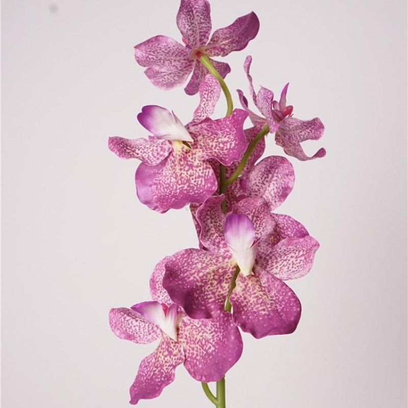 Moisturizing Fake Vanda Orchid