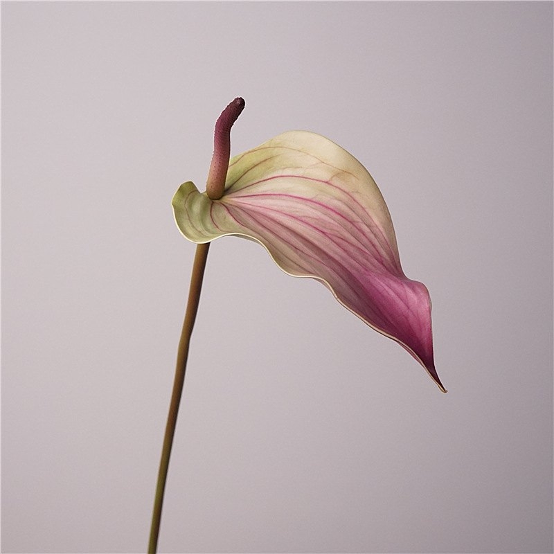 Multi-colored Faux Peace Lily