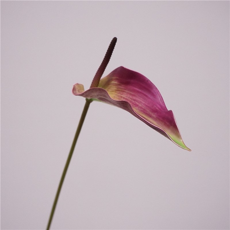 Multi-colored Faux Peace Lily
