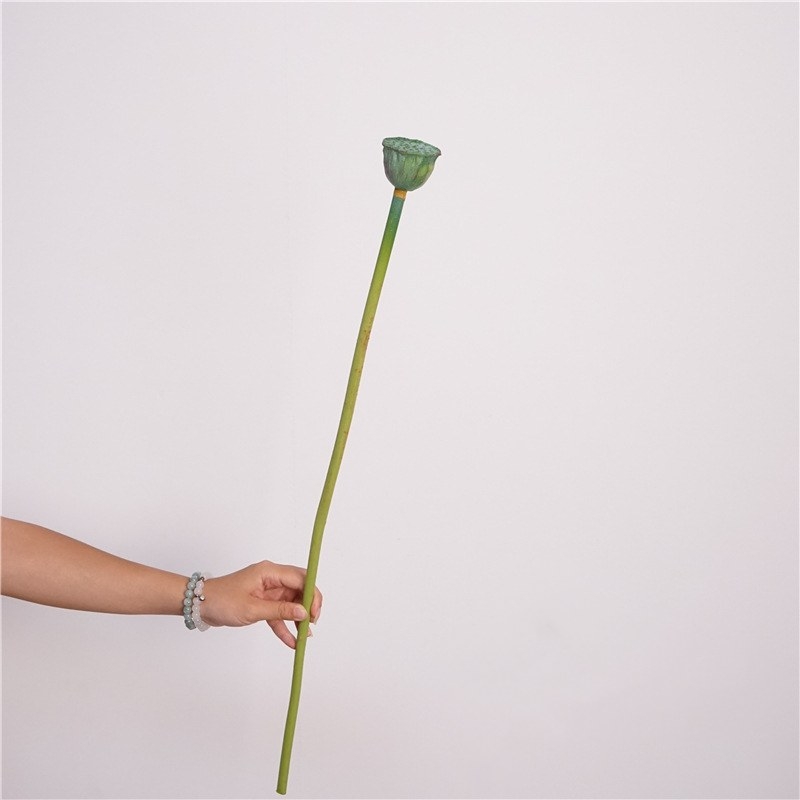 Simulated lotus seedpod