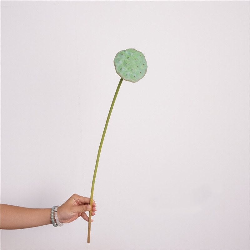 Simulated lotus seedpod
