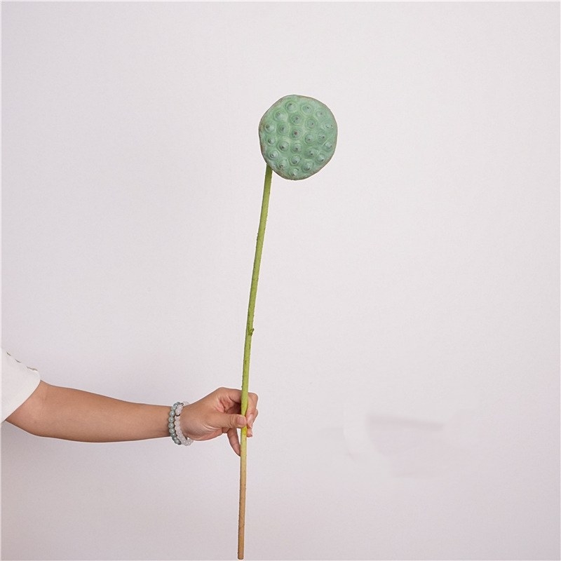 Simulated lotus seedpod