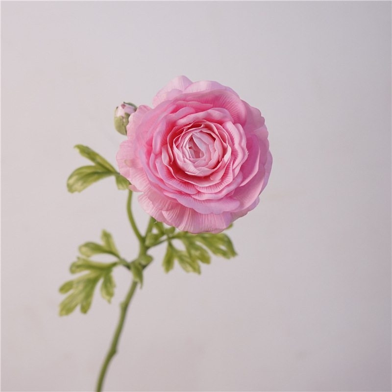 Fake  Moisturizing Ranunculus