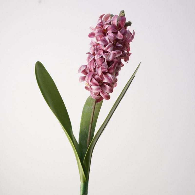 Artificial Hyacinth
