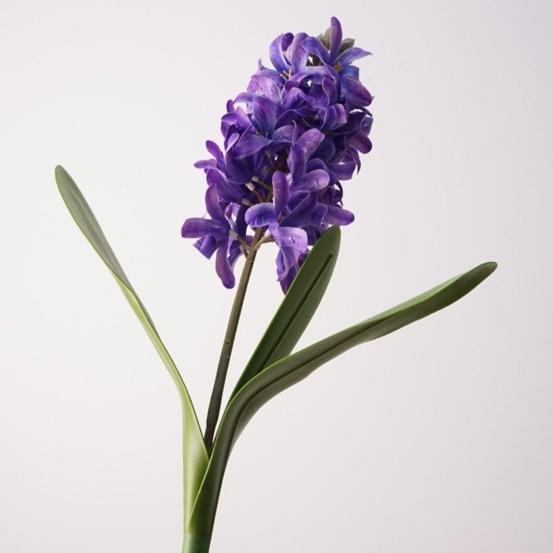 Artificial Hyacinth