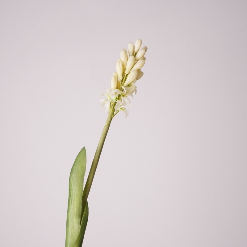Simulated Hyacinth