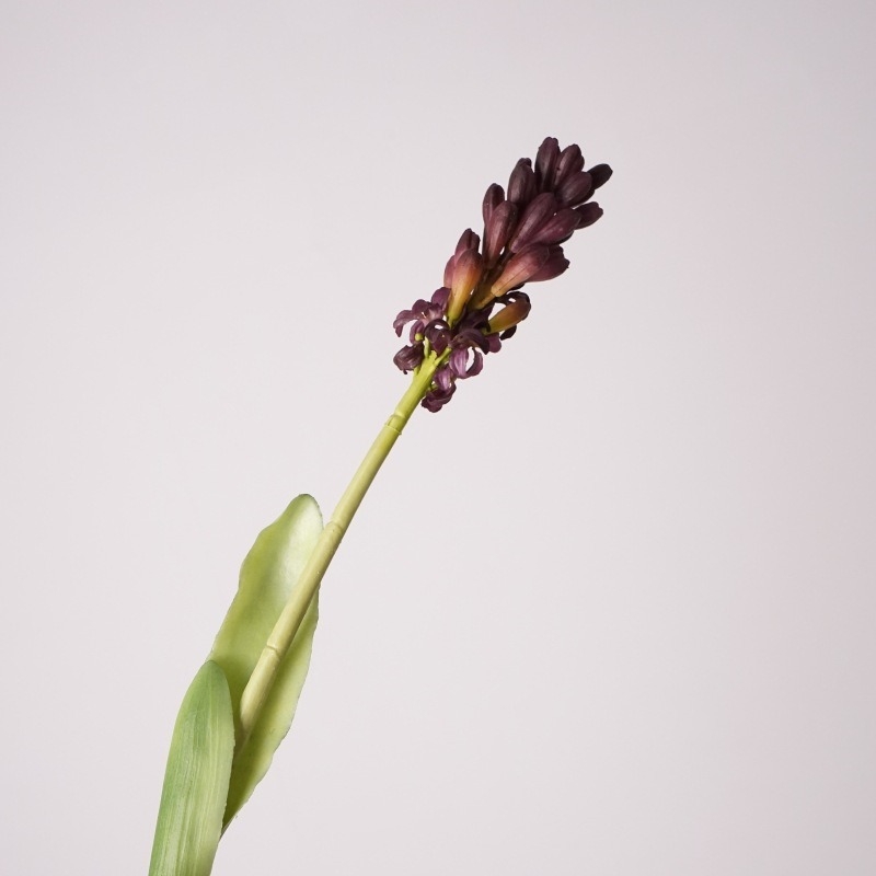 Simulated Hyacinth