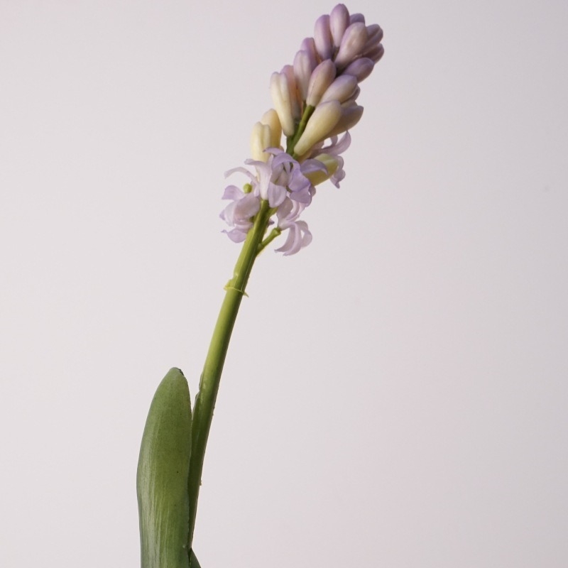 Simulated Hyacinth