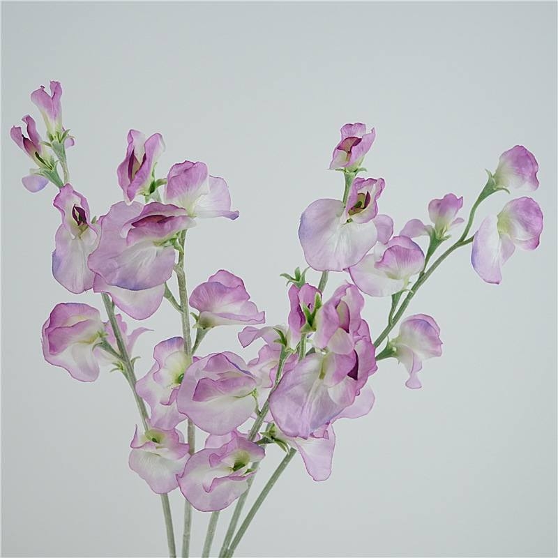 Artificial Sweet Pea