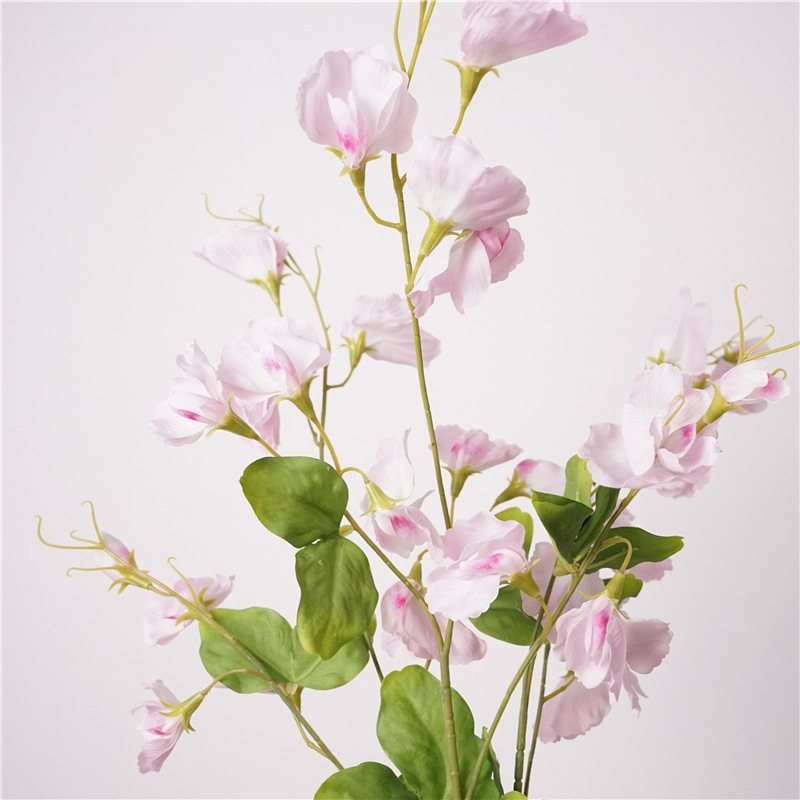 Simulated Sweet Pea