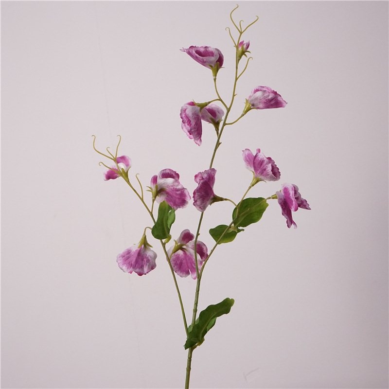 Simulated Sweet Pea