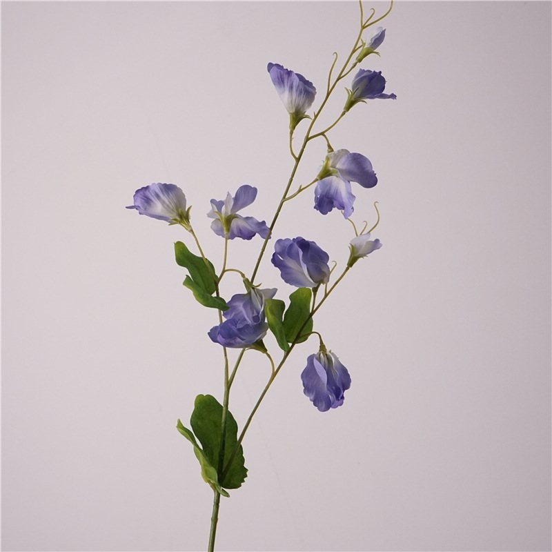 Simulated Sweet Pea