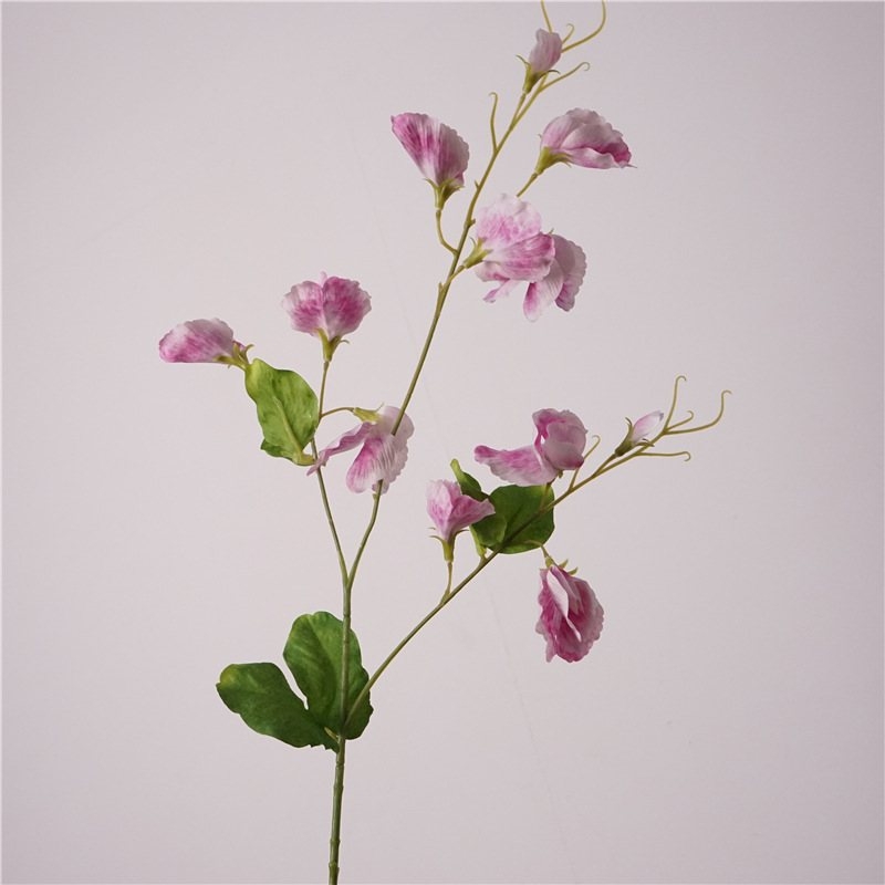 Simulated Sweet Pea