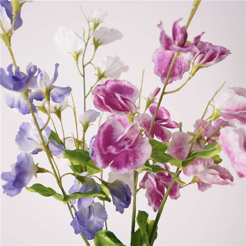 Simulated Sweet Pea