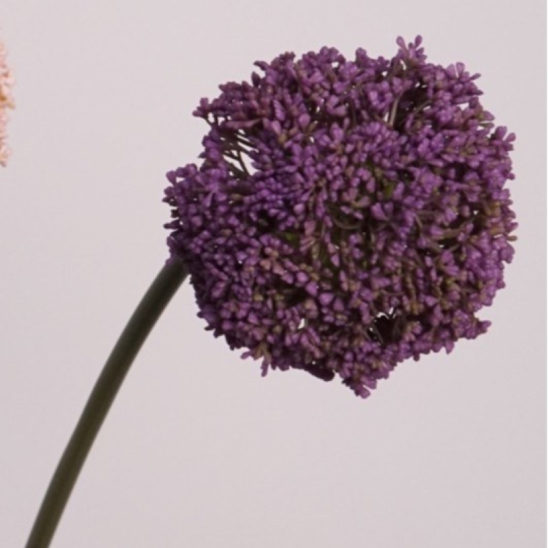 Realistic artificial Allium