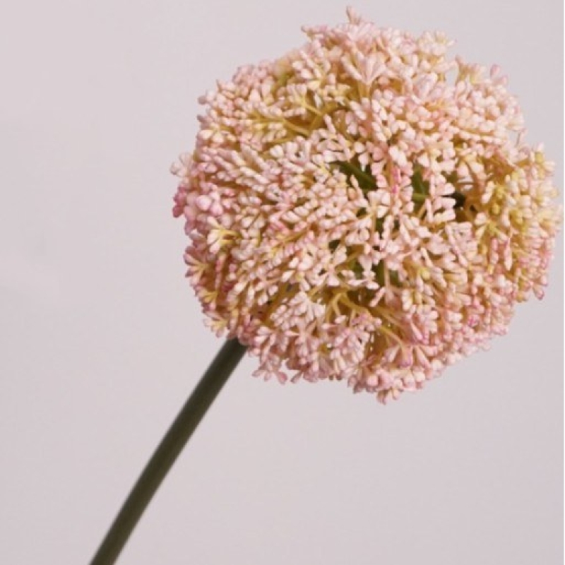 Realistic artificial Allium