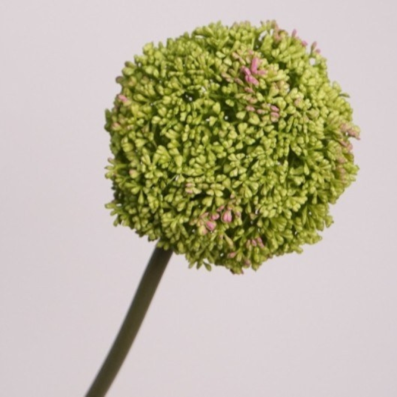 Realistic artificial Allium
