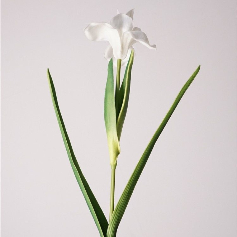Realistic artificial iris