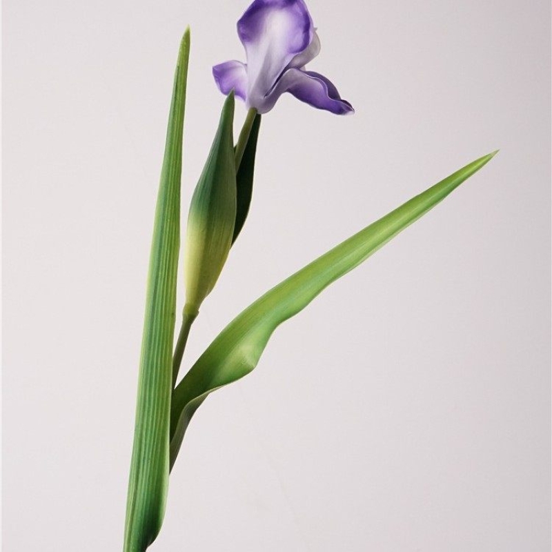 Realistic artificial iris