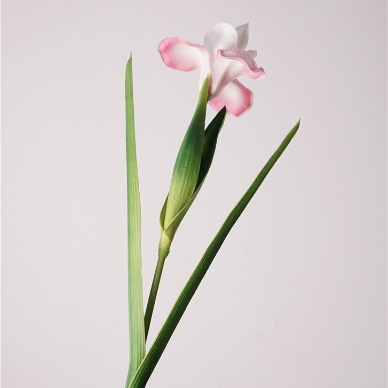 Realistic artificial iris