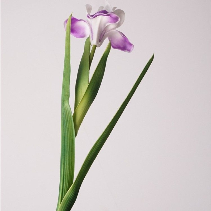 Realistic artificial iris