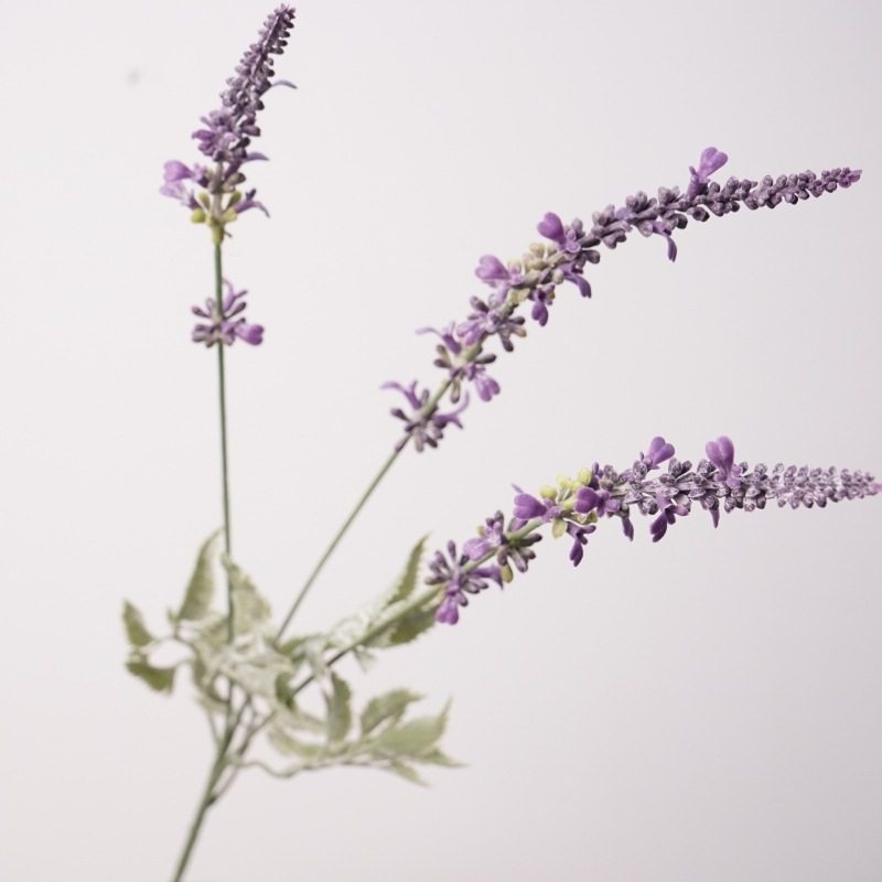 Fake lavender