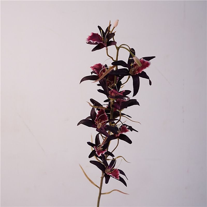 Simulated Australian Dendrobium