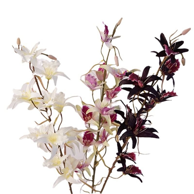 Simulated Australian Dendrobium
