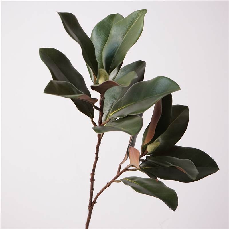 Simulated magnolia leaf with two branches