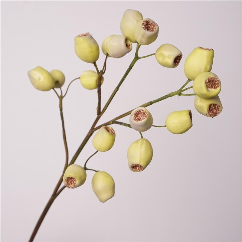 Simulated Italian eucalyptus fruit