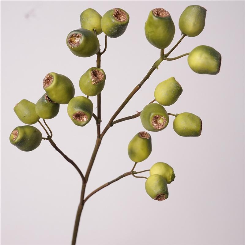 Simulated Italian eucalyptus fruit