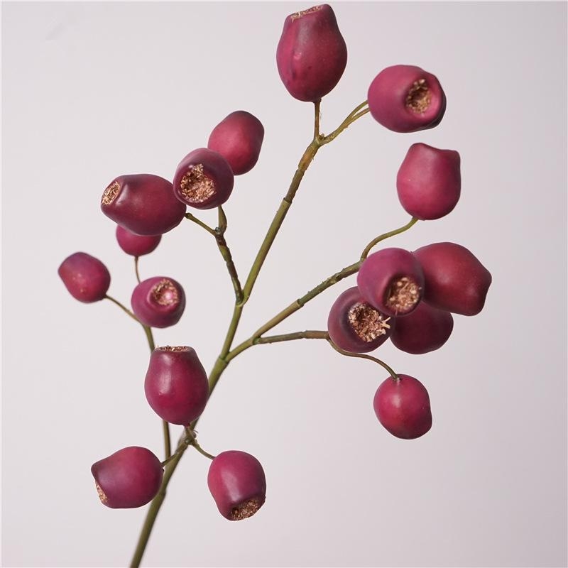 Simulated Italian eucalyptus fruit