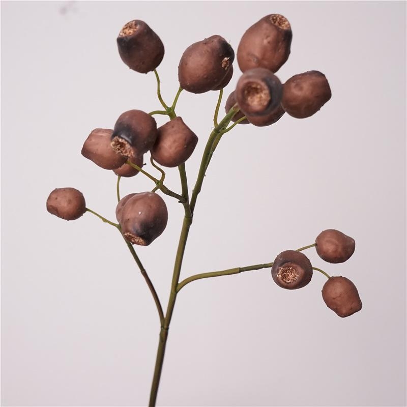 Simulated Italian eucalyptus fruit
