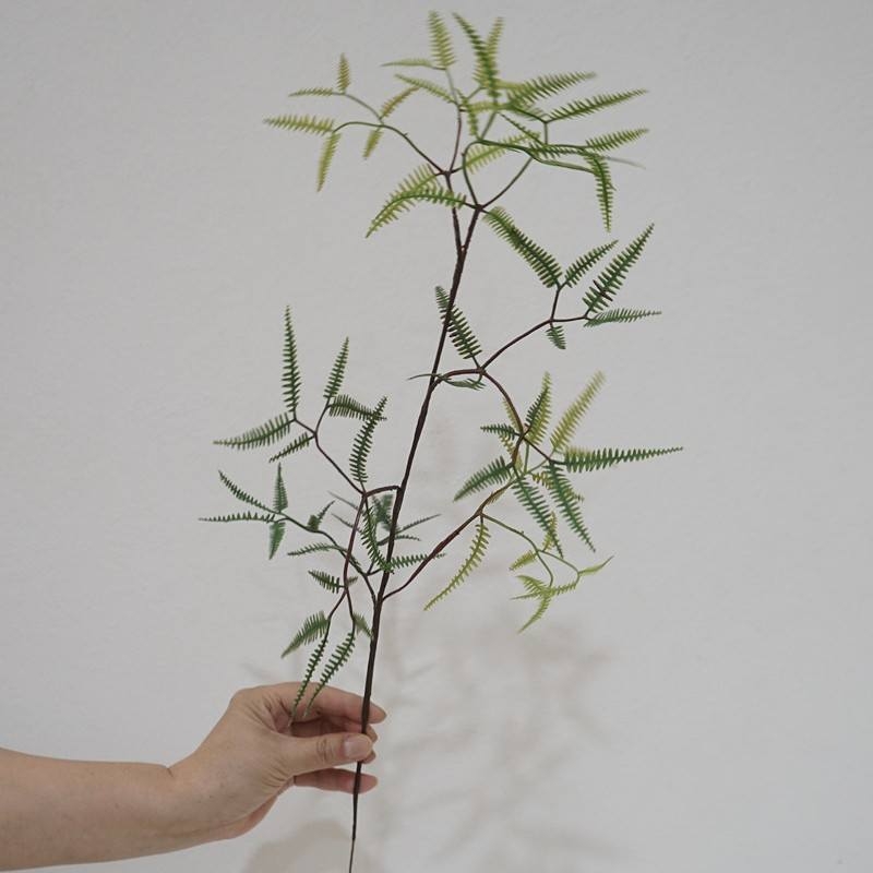 Simulated Dicranopteris Dichotoma
