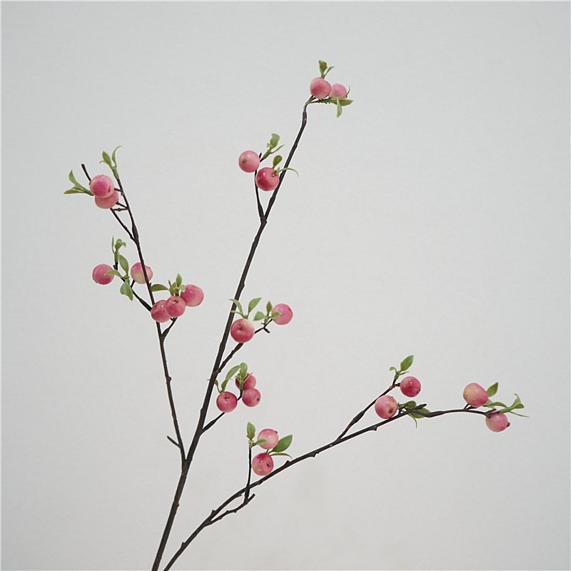 Simulated Hawthorn Fruit Branch