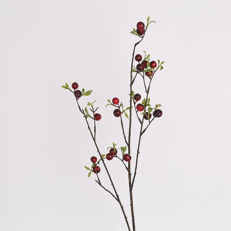 Simulated Hawthorn Fruit Branch