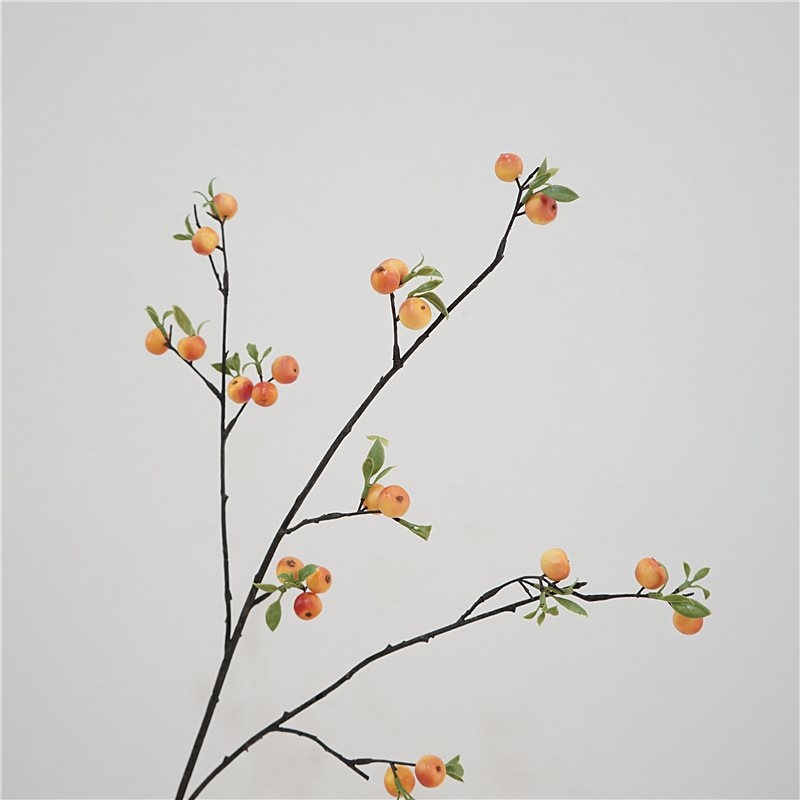 Simulated Hawthorn Fruit Branch