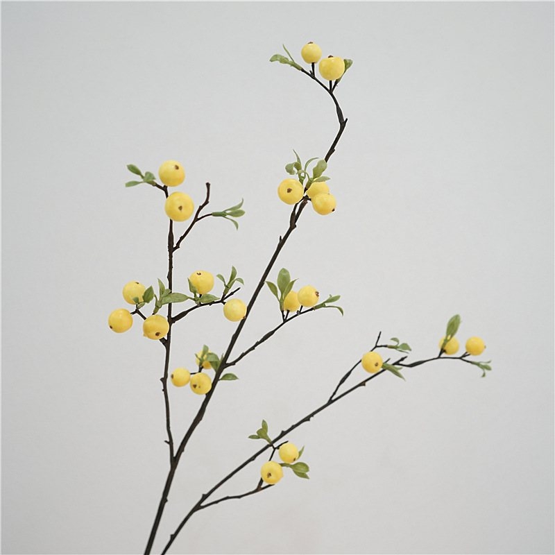 Simulated Hawthorn Fruit Branch