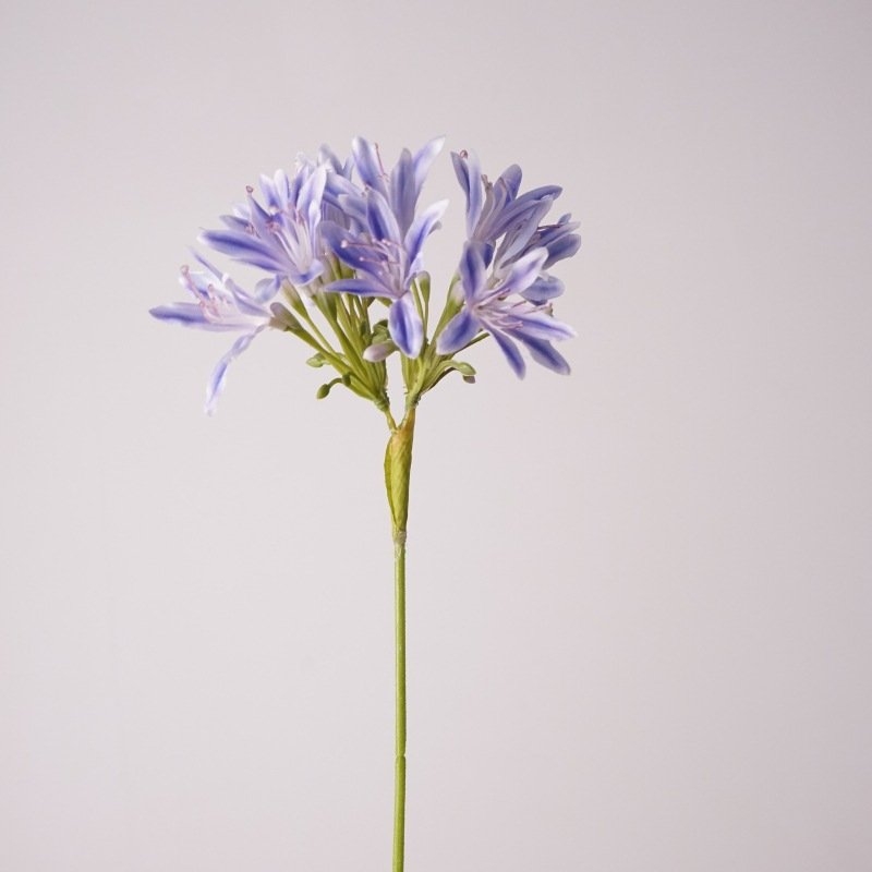 Simulated agapanthus