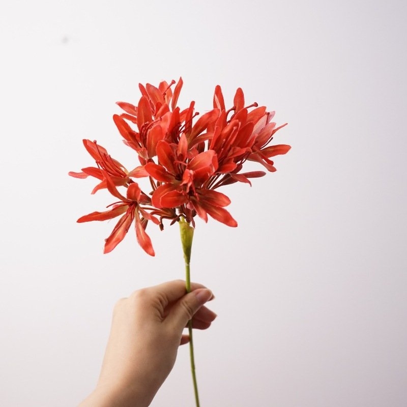 Simulated agapanthus