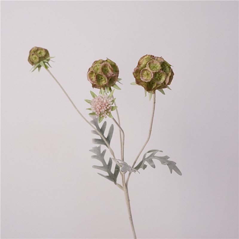 Artificial Scabiosa Stellata